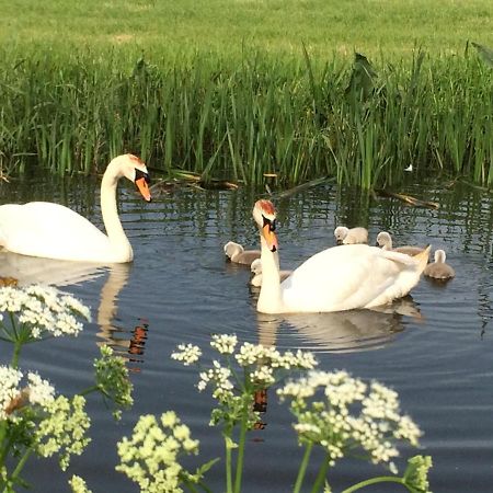 Friesland-Cottage Molkwerum Экстерьер фото