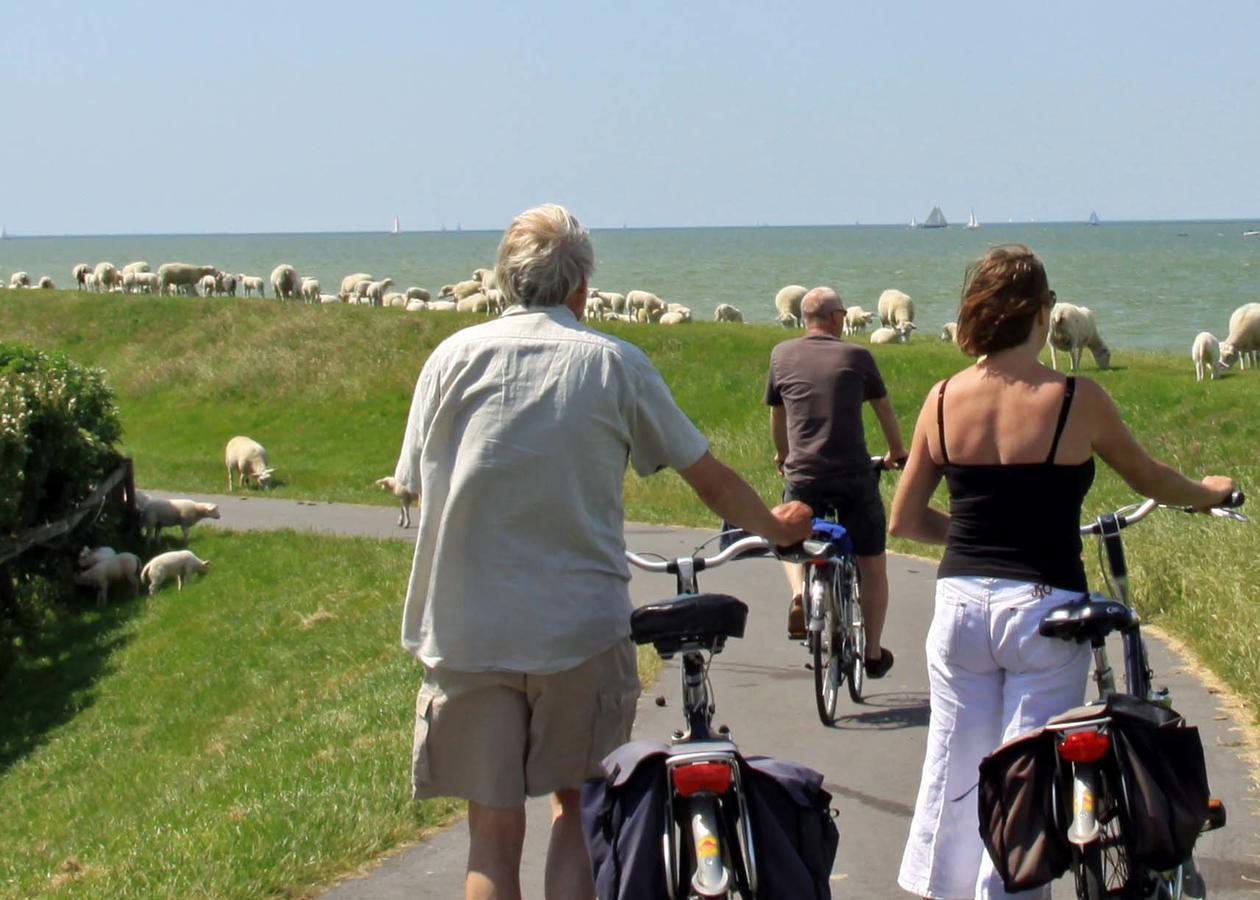 Friesland-Cottage Molkwerum Экстерьер фото